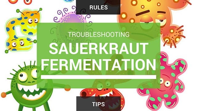 Troubleshoot tips & rules for moldy sauerkraut. | makesauerkraut.com