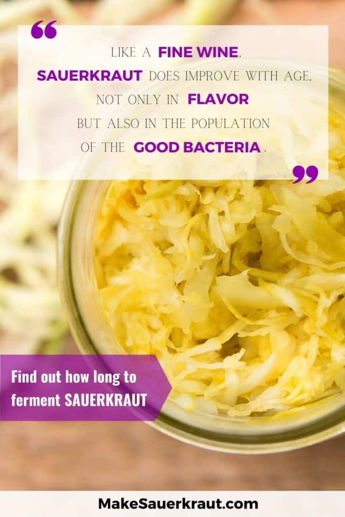 Find out how long to ferment sauerkraut