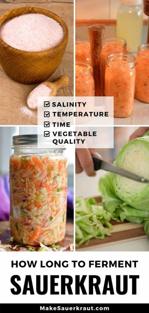 How Long To Ferment Sauerkraut