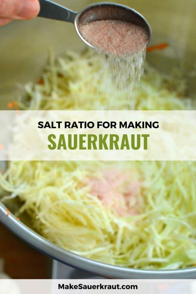 Salt ratio for making sauerkraut