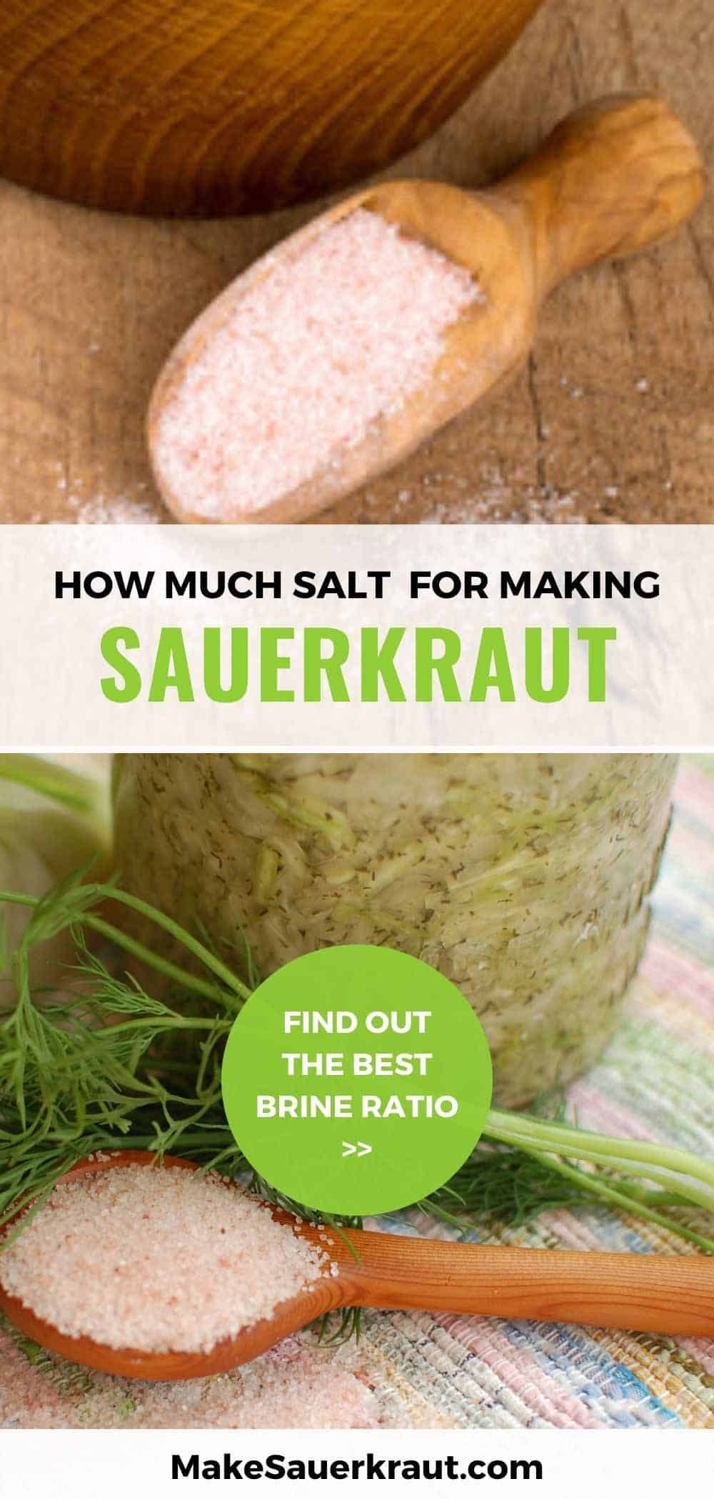 How Much Salt Do I Use to Make Sauerkraut? MakeSauerkraut