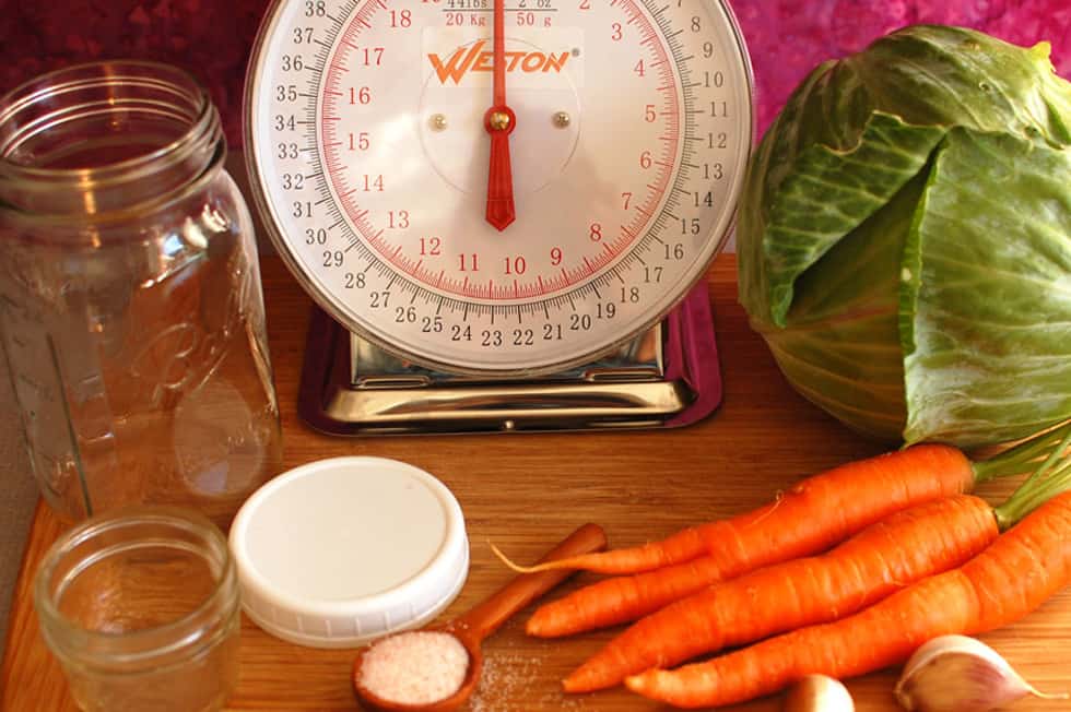 Basic sauerkraut making tools: jar, weight, cabbage, vegetables and salt.