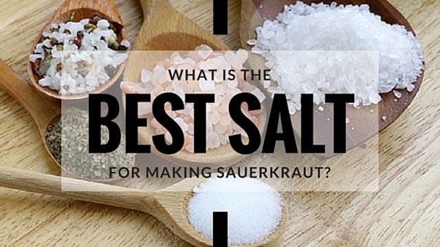 What is the best salt for sauerkraut? | makesauerkraut.com