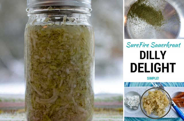 Jar of dilly delight sauerkraut on the left with the top right image showing a bowl with herbs, middle image showing "SureFire Sauerkraut Dilly Delight Simple!" and bottom right showing top view of dilly delight ingredients. | MakeSauerkraut.com