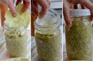 Dilly Delight Sauerkraut Recipe - Add Floaties Trap and weight and put on lid. | makesauerkraut.com