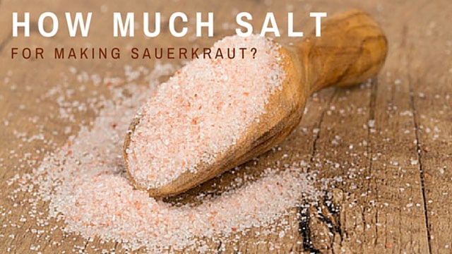 How much salt for making sauerkraut? | makesauerkraut.com