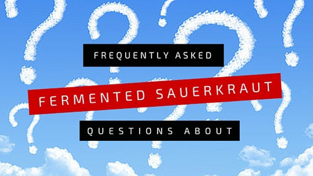 Answers to all your sauerkraut questions. | makesauerkraut.com