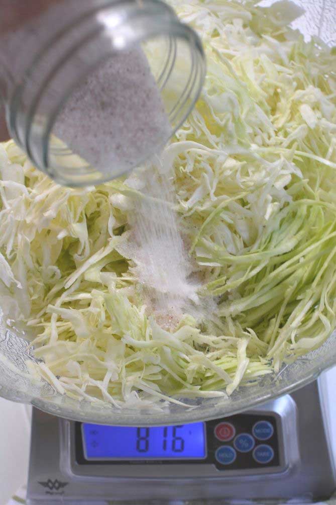 Shaking salt into a bowl of cabbage sitting on a scale. | MakeSauerkraut.com