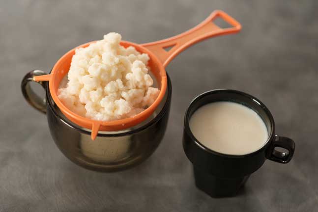 Kefir in a strainer over black cup and another cup filled with liquid kefir. | MakeSauerkraut.com