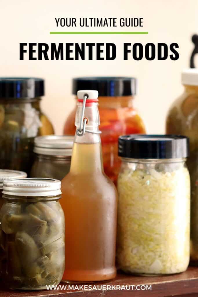 jars of different fermented foods