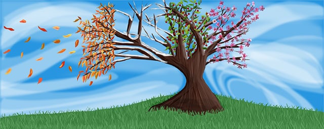 Illustration of a tree with leaves changing into the four seasons of summer, spring, fall and winter. | MakeSauerkraut.com