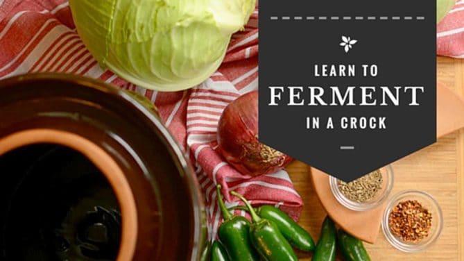 Learn to ferment in a crock with 7 easy steps. | makesauerkraut.com