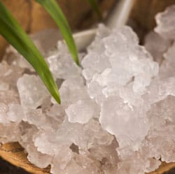 Close-up of water kefir grains. | MakeSauerkraut.com