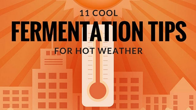 Adhesive Culturing Jar Thermometer - Yemoos Nourishing Cultures