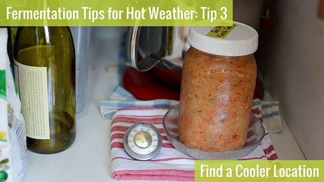 Jar of sauerkraut inside a shelf over a bowl in a stiped red and white cloth and a small travel thermometer to the side. | MakeSauerkraut.com