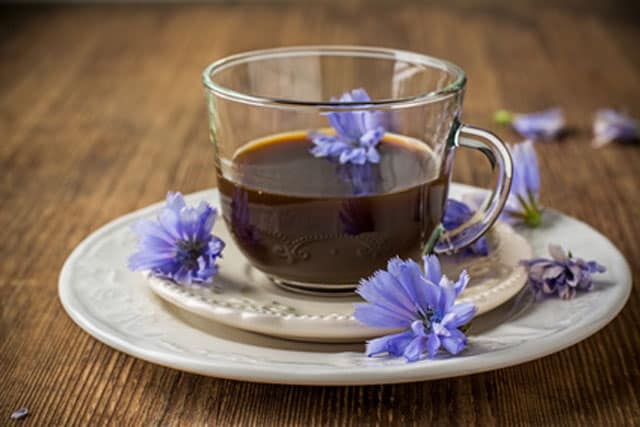 Chicory tea in glass teacup with blue flowers as garnish inside ad outside the cup, two stacked plates, saucer and big plate, under the cup. | MakeSauerkraut.com