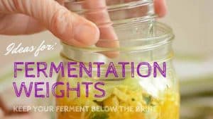 Fermentation weights to keep your ferment below the brine. | makesauerkraut.com