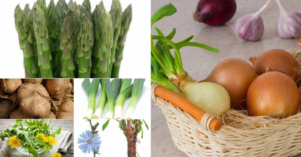 Best Prebiotic Foods for Gut Health {15 Clever Ways to Eat Them
