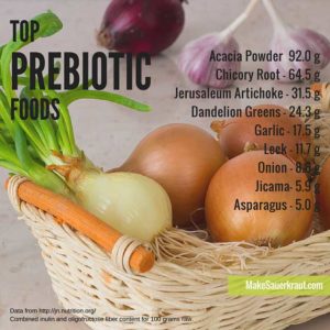 Including prebiotic foods in your daily diet are an easy way to improve your gut health. Learn the difference between prebioitcs and probiotics. | makesauerkraut.com