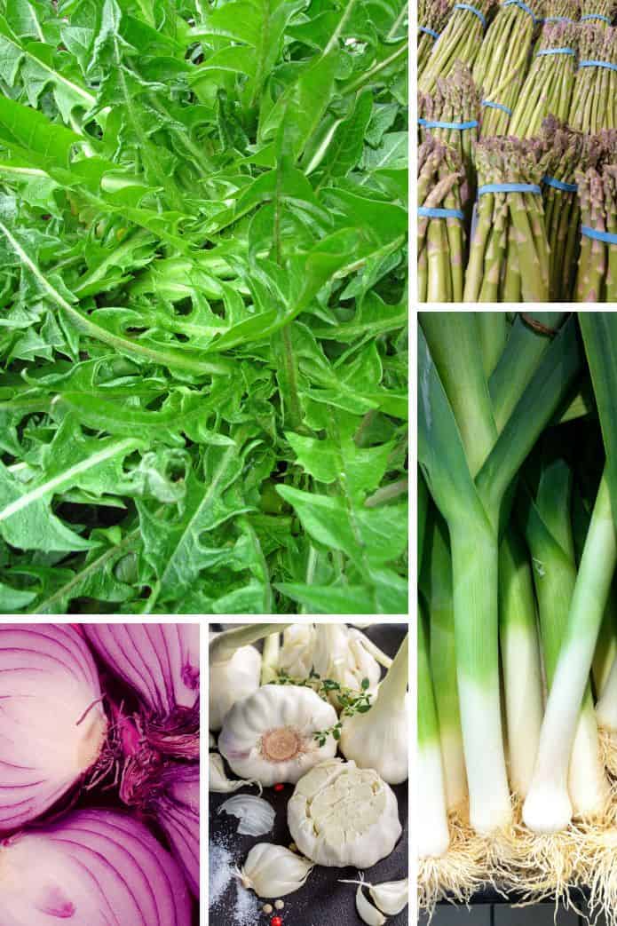 Grid of pictures of prebiotic foods: dandelion, asparagus, onion, garlic, leeks. | MakeSauerkraut.com
