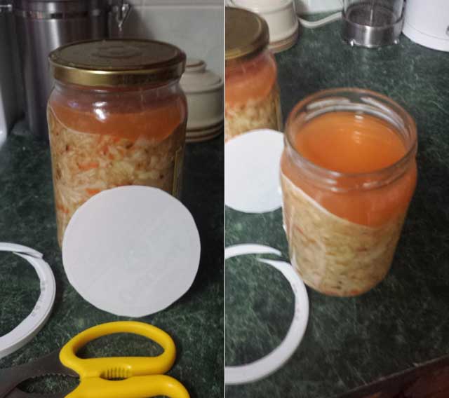 A plastic lid cut just to the right size that can work as both a floaties trap and a weight. | MakeSauerkraut.com