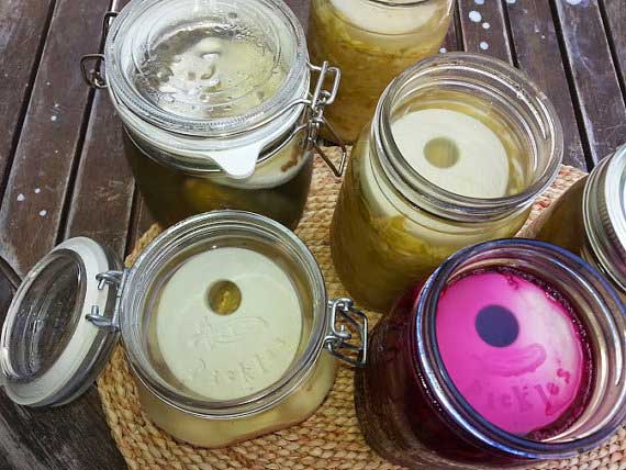 Four unopened glass jars with wire clamped lids filled with brine and unglazed porcelain fermentation weight made by Sandy Der. | MakeSauerkraut.com