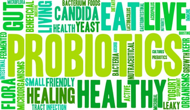 Different words with varying shades of green and font sizes related to probiotics. | MakeSauerkraut.com