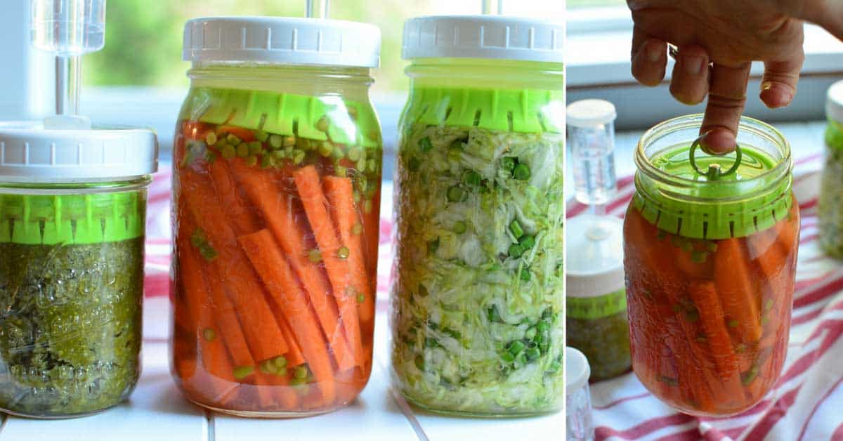 PicklePushing NoFloat JarPacker Review Ingenious MakeSauerkraut