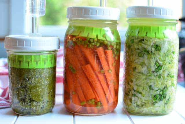 Three types of ferments tested with the Ultimate Pickle Jar. | makesauerkraut.com