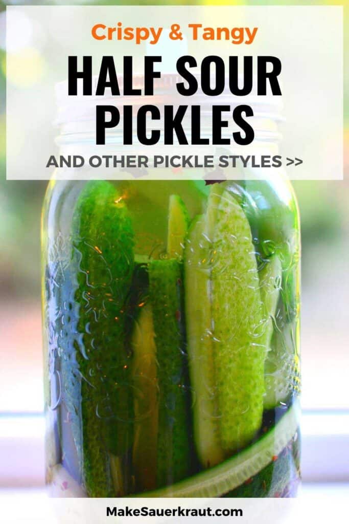 Crispy and Tangy Half Sour Pickles and other pickle styles, Fermented pickles in a jar