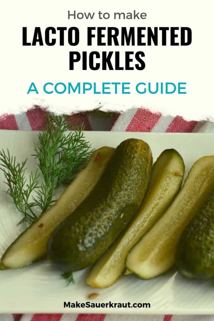 How to make lacto fermented pickles (A Complete Guide), Fermented pickles on a plate