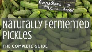Fermented Pickles [The Complete Guide] | makesauerkraut.com