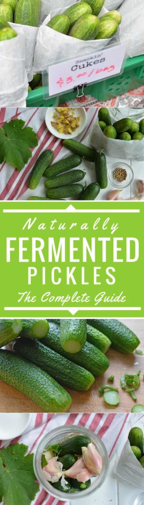 Fermented Pickles [The Complete Guide] | makesauerkraut.com