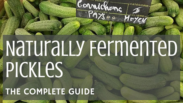 Fermented Pickles [The Complete Guide] | makesauerkraut.com