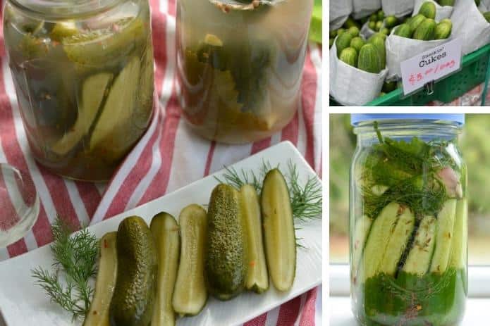 Three images: Pickles spears on a plate, fresh cucumbers in a bag for sale, jar of cucumbers ready to ferment. | MakeSauerkraut.com