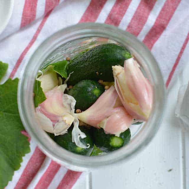 Fermented pickles recipe packing cucumbers into jar. | makesauerkraut.com