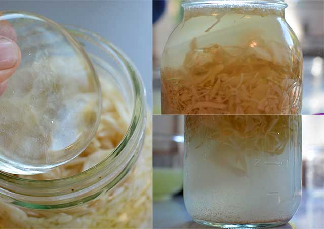 Three image collage, left image showing close up of a Pickle Pebble over the rim of the a jar of fermented cabbage juice, top right showing how the Pickle Pebble sinking into the mixture, bottom right showing the bottom of the jar with the sliced cabbages sinking. | MakeSauerkraut.com