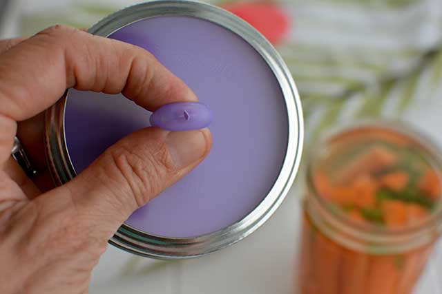 Thumb and index fingers squishing the nipple with a cross-hair cut in a purple Pickle Pipe fermentation lid. | MakeSauerkraut.com