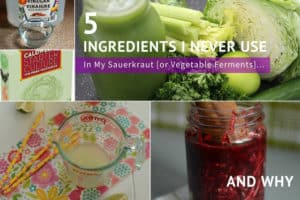 5 Ingredients I never use in my ferments and why. | makesauerkraut.com