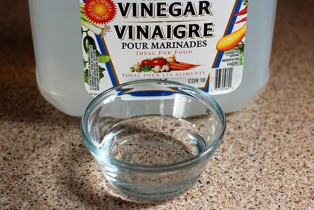 A small glass bowl with vinegar and a white plastic container of vinegar behind it. | MakeSauerkraut.com