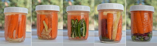 Five images in a row of different fermented carrot recipes. | MakeSauerkraut.com