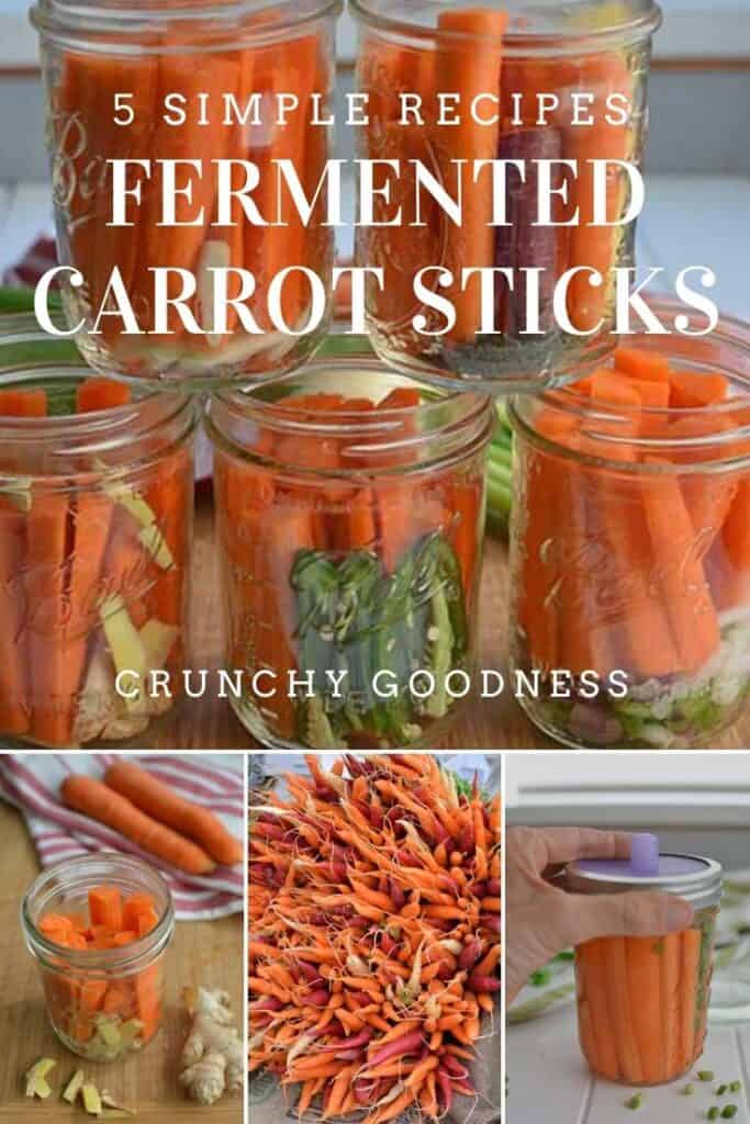 Carrot sticks that are ready to be fermented in canning jars, five different recipes: garlic, dilly, ginger, jalapeno and onion