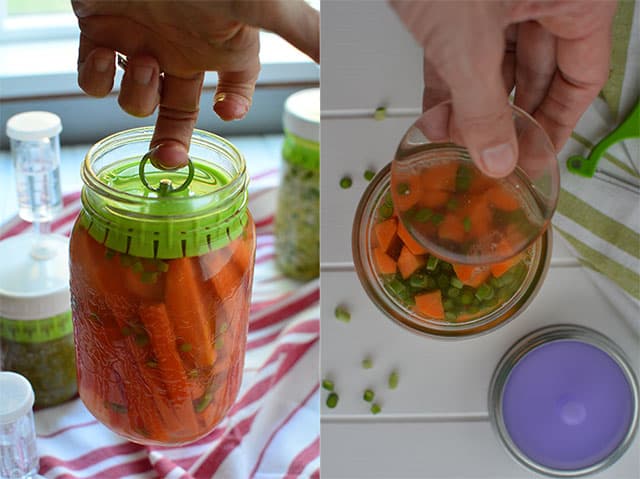 fermented-carrot-sticks-below-the-brine Holding your carrots sticks below the brine. | makesauerkraut.com