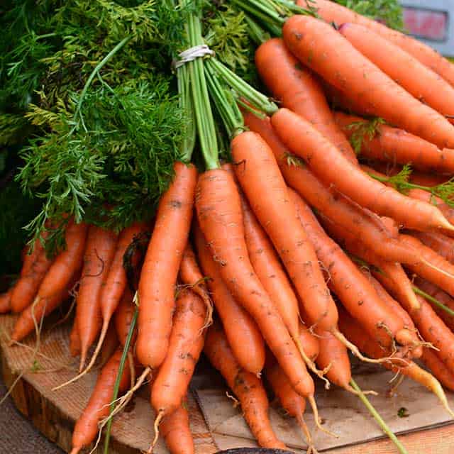 Bundle of fresh carrots. | MakeSauerkraut.com