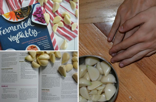 Three image collage of peeled garlic cloves, top left image of garlic cloves beside Fermented Vegetables book my Shockey, bottom left image of peeled garlics between two book pages, right image showing hands clasp together on top of table with a bowl of peeled garlic cloves. | MakeSauerkraut.com