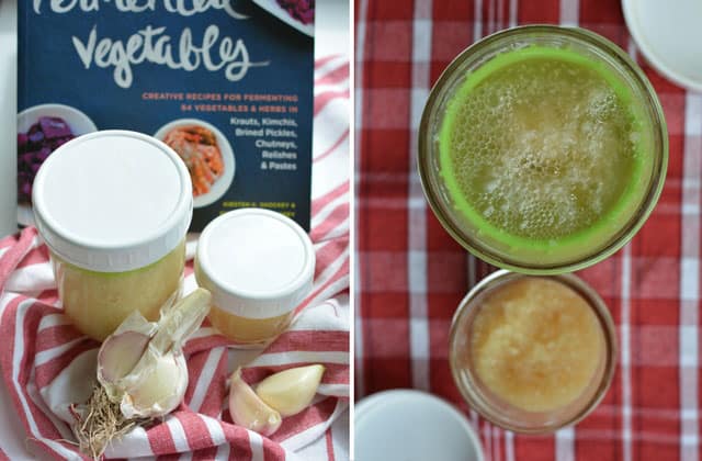 Right image showing a regular and pint sized jar of fermented garlic on top of striped red and white cloth with cloves of unpeeled garlic in front and a book behind them, right image showing top view of fermented garlic paste with brine on top of the Pickle Pusher and an opened jar at the side. | MakeSauerkraut.com