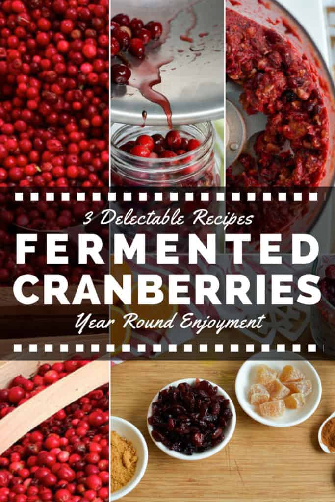 Fermented Cranberries. 3 Recipes to Enjoy Year Round. | makesauerkraut.com