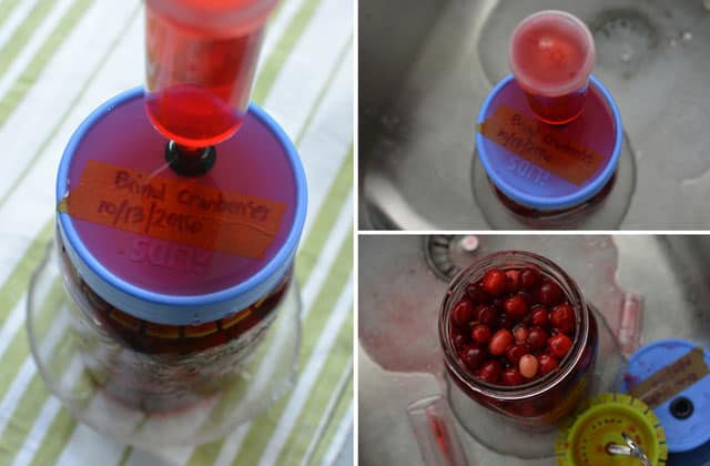 Three pictures in a collage of a jar of overflowing pickled cranberries with a syringe-like tube to get the excess out of the hole in the blue fermentation lid. Bottom right picture shows top view of the open jar of cranberries with the lid and fermentation weight at the side. | Makesauerkraut.com