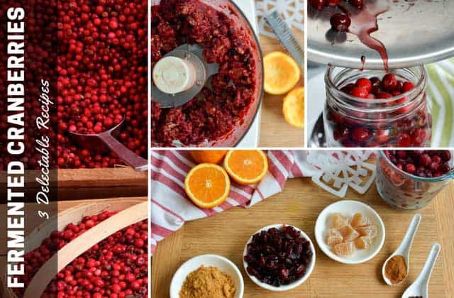 Fermented Cranberries Recipes for Year Round Enjoyment. | makesauerkraut.com