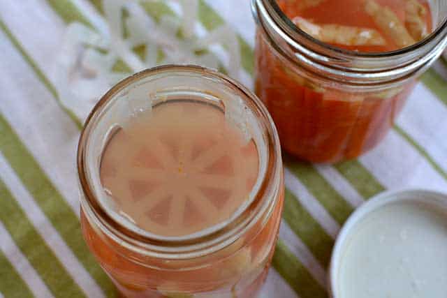 Top view of how the ViscoDisc is properly inserted into the jar of fermented carrot sticks. | MakeSauerkraut.com